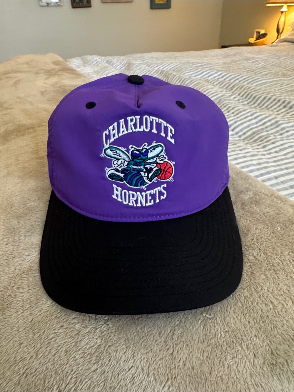 Charlotte Hornets Purple and Black Snapback Hat - Mitchell & News